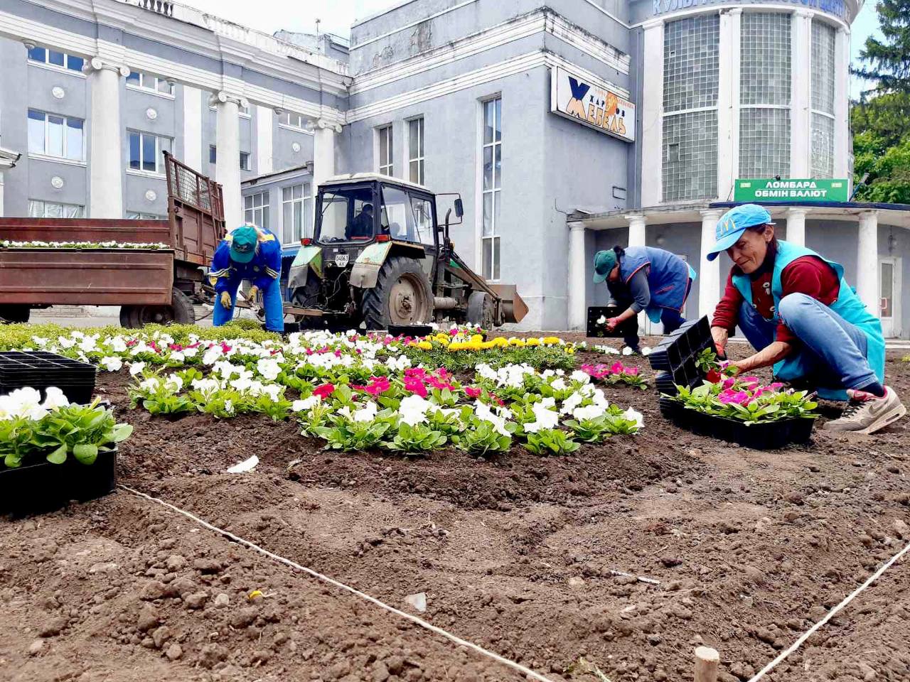 В спальных районах Харькова высаживают цветы